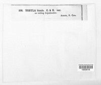 Image Associated With the Occurence